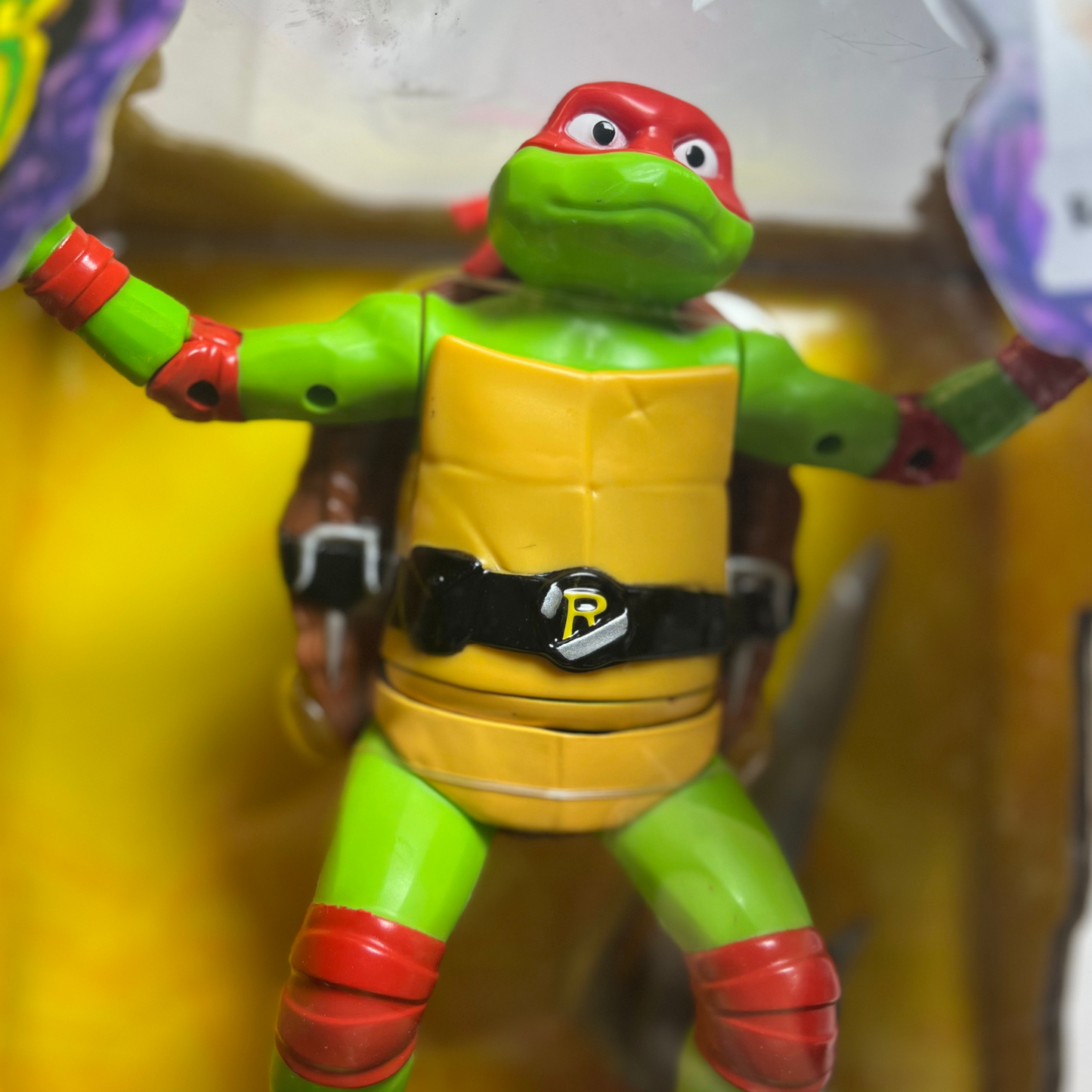 Teenage Mutant Ninja Turtles Raphael Cowabunga Skate RC