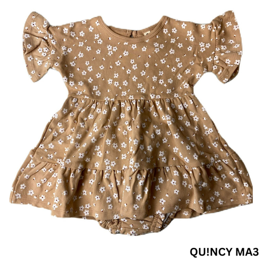 Baby Girls Blush Floral Flutter Dress & Bloomer Short Set