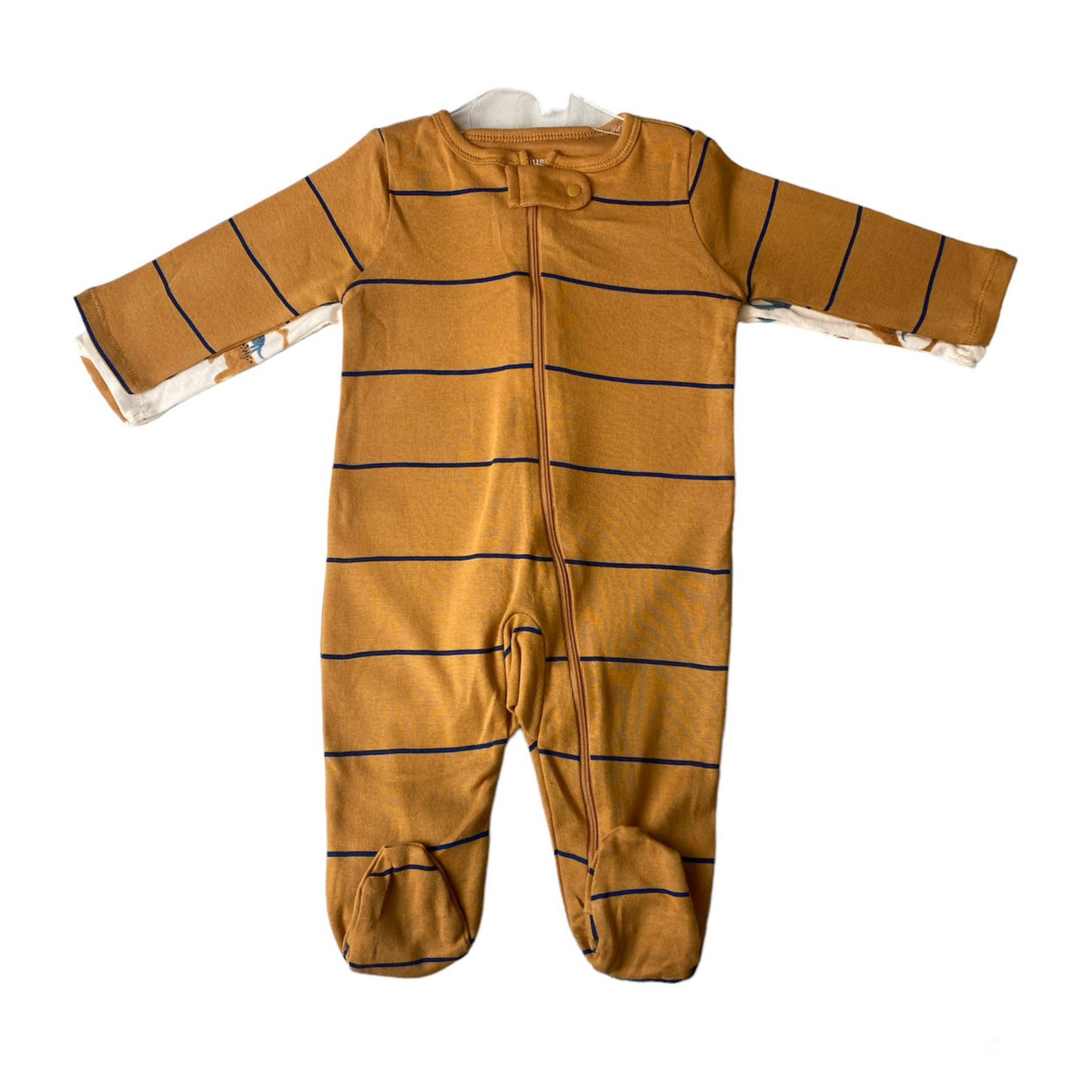 Boys 2-Pack Dinosaur One Piece - 6m