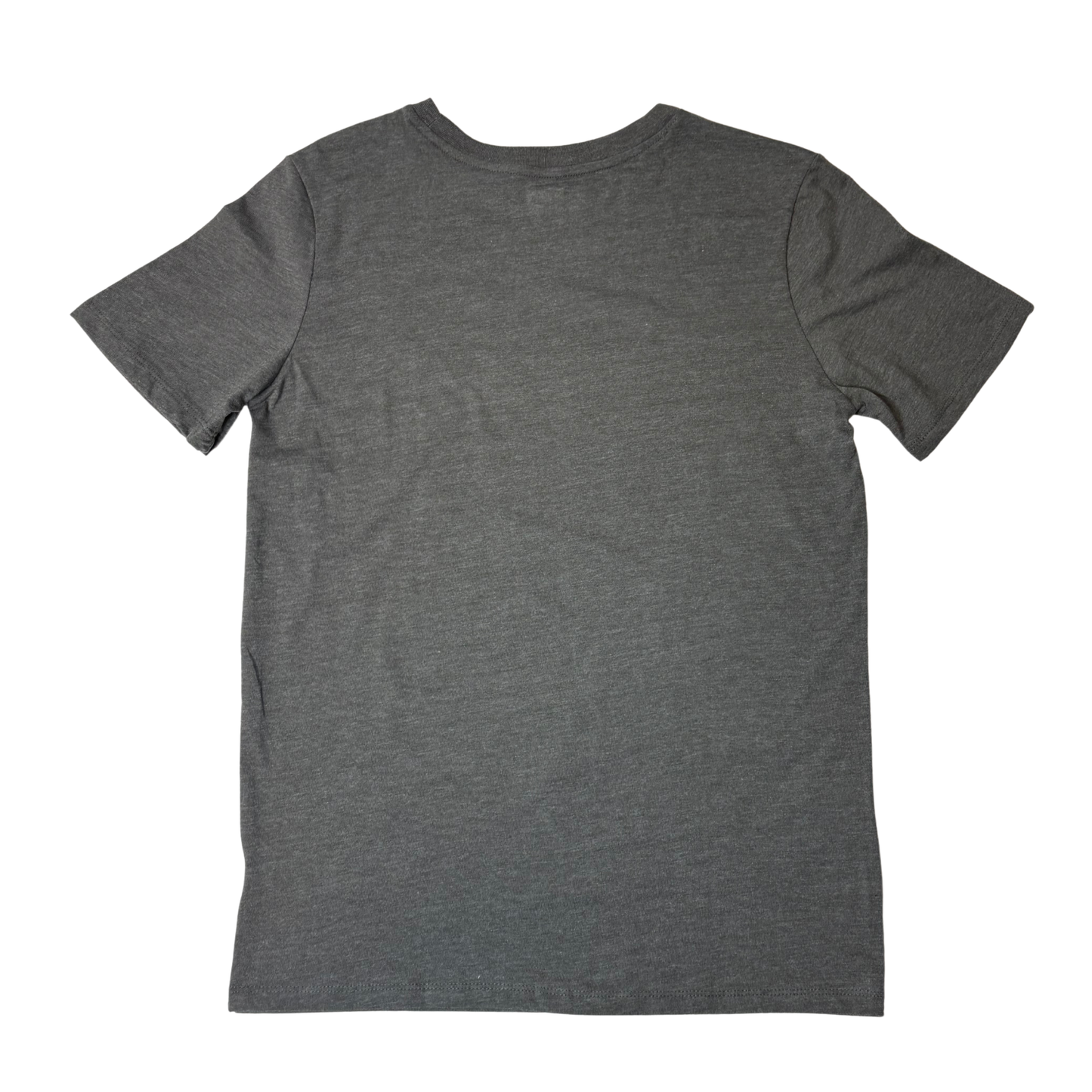 Boys’ Gray Graphic Short Sleeve T-Shirt Size XL (16)