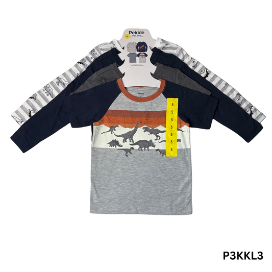 Boys’ 4-Pack Dinosaur-Themed Tops Size 5