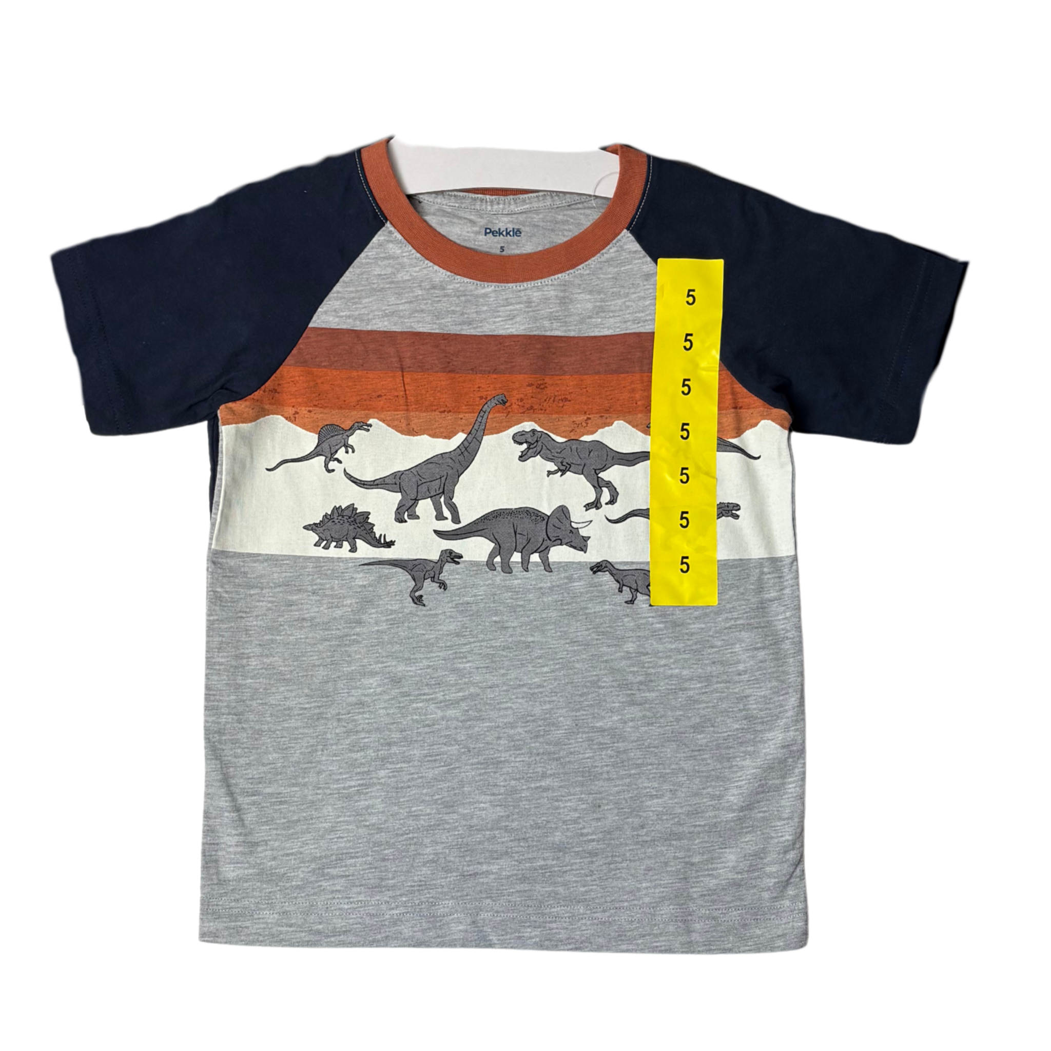 Boys’ 4-Pack Dinosaur-Themed Tops Size 5