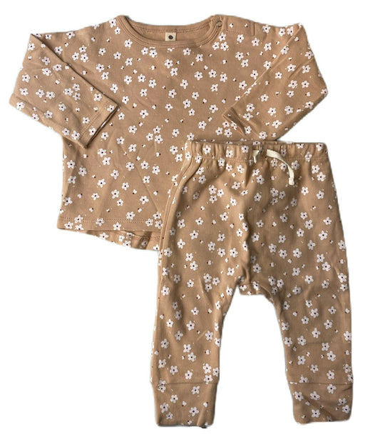 Baby Girls Blush Floral Jersey Top and Pants Set