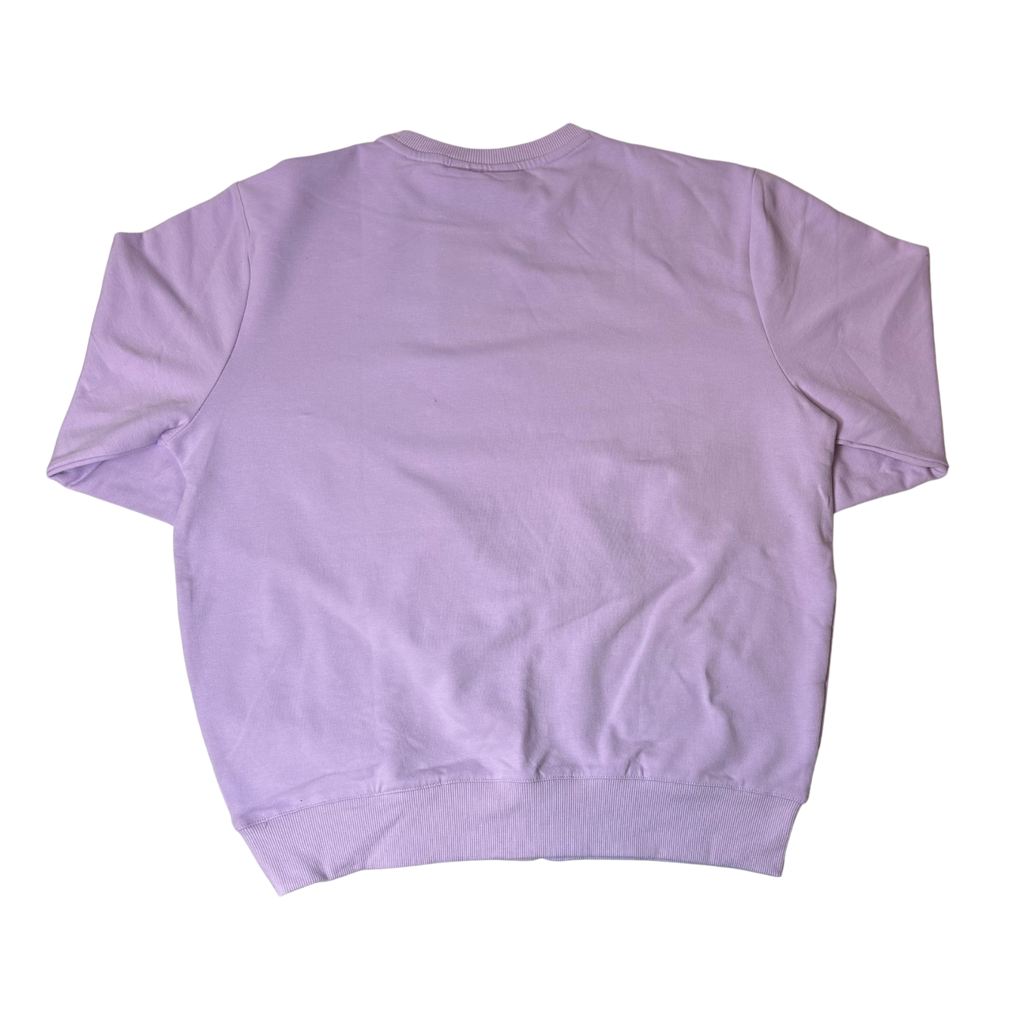 Women's Purple Long Sleeve Crew Neck Sweater