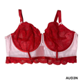 Women's Red and Pink Lingerie Bra - 2X