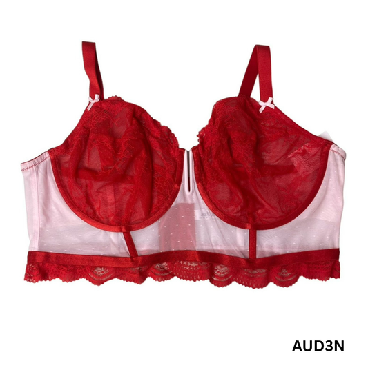 Women's Red and Pink Lingerie Bra - 2X